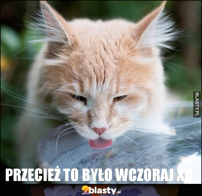 Przecież to było wczoraj XD Przecież to było wczoraj XD