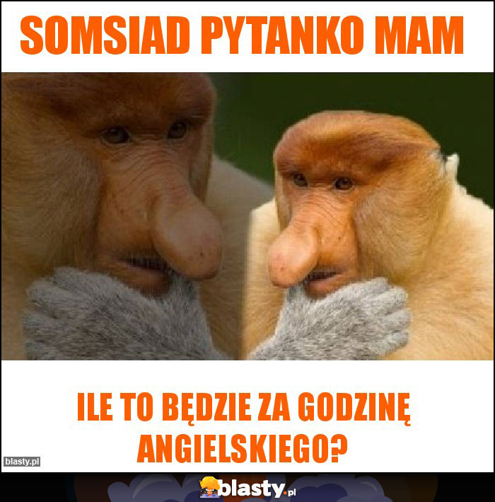 Somsiad pytanko mam Somsiad pytanko mam