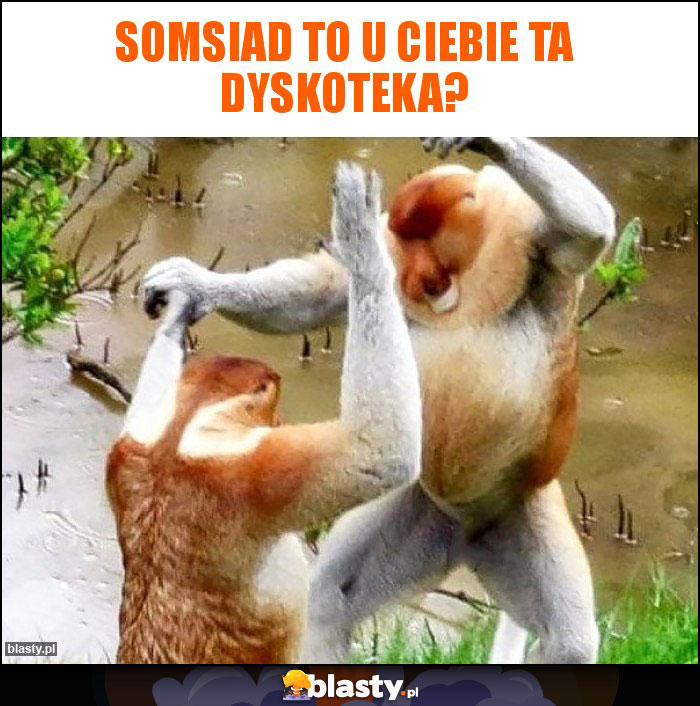 Somsiad to u ciebie ta dyskoteka? Somsiad to u ciebie ta dyskoteka?