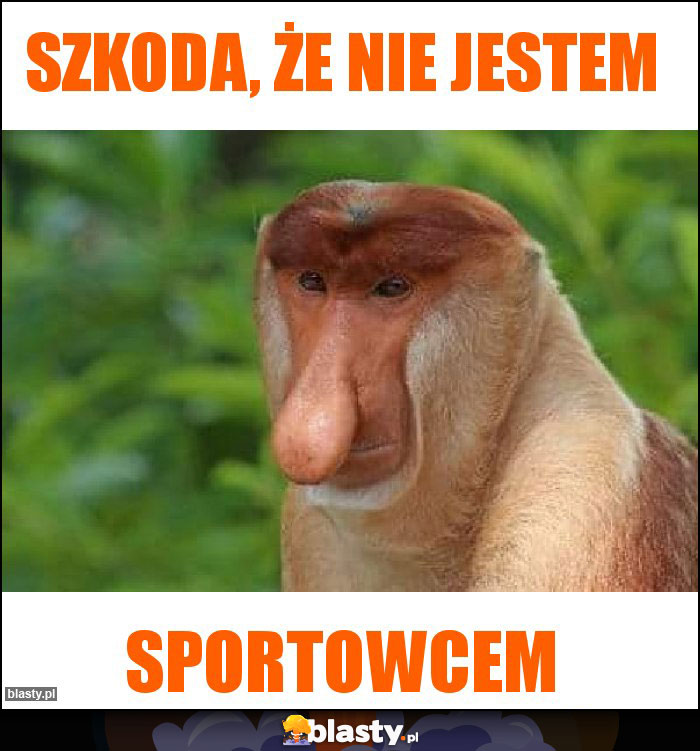 Szkoda, że nie jestem Szkoda, że nie jestem