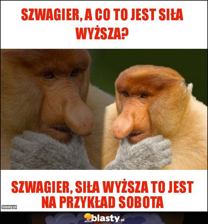 Szwagier, a co to jest siła wyższa? Szwagier, a co to jest siła wyższa?