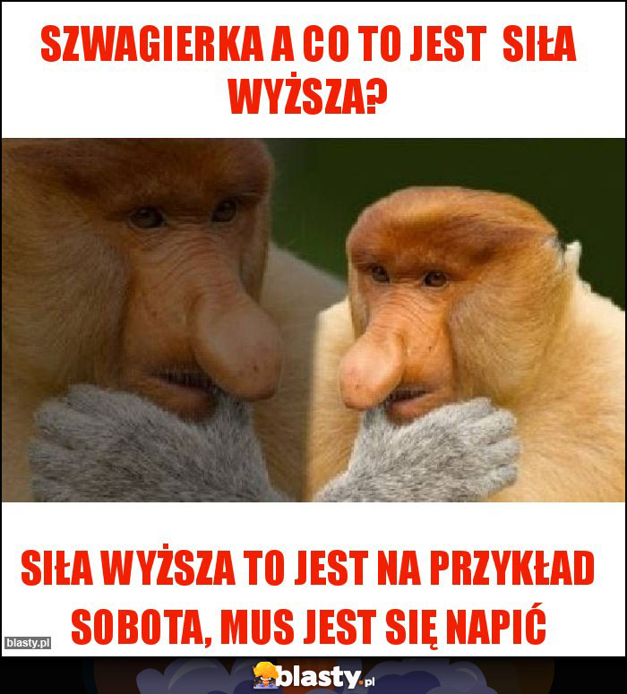 Szwagierka a co to jest siła wyższa? Szwagierka a co to jest siła wyższa?