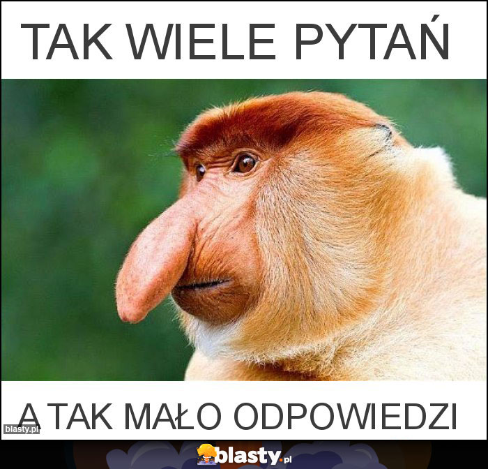 tak wiele pytań tak wiele pytań