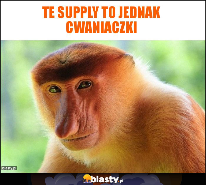 TE SUPPLY TO JEDNAK CWANIACZKI TE SUPPLY TO JEDNAK CWANIACZKI