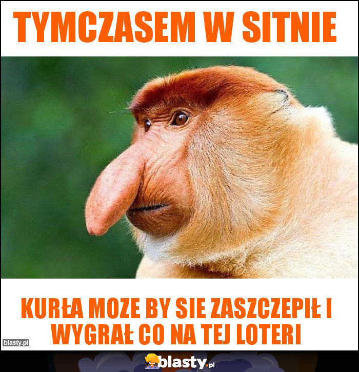 Tymczasem w Sitnie Tymczasem w Sitnie
