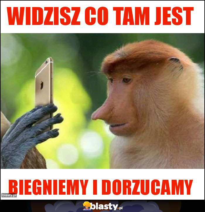 Widzisz co tam jest