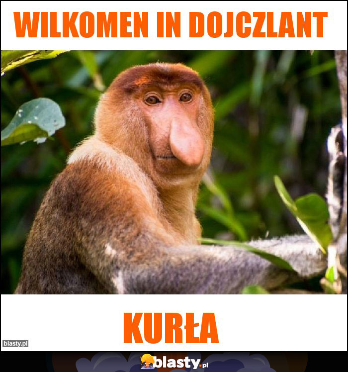 Wilkomen in dojczlant Wilkomen in dojczlant