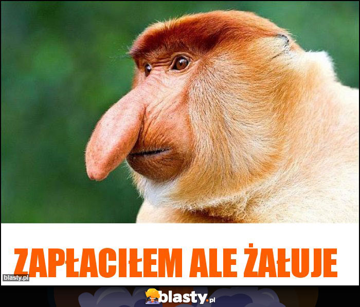 Zapłaciłem ale żałuje Zapłaciłem ale żałuje