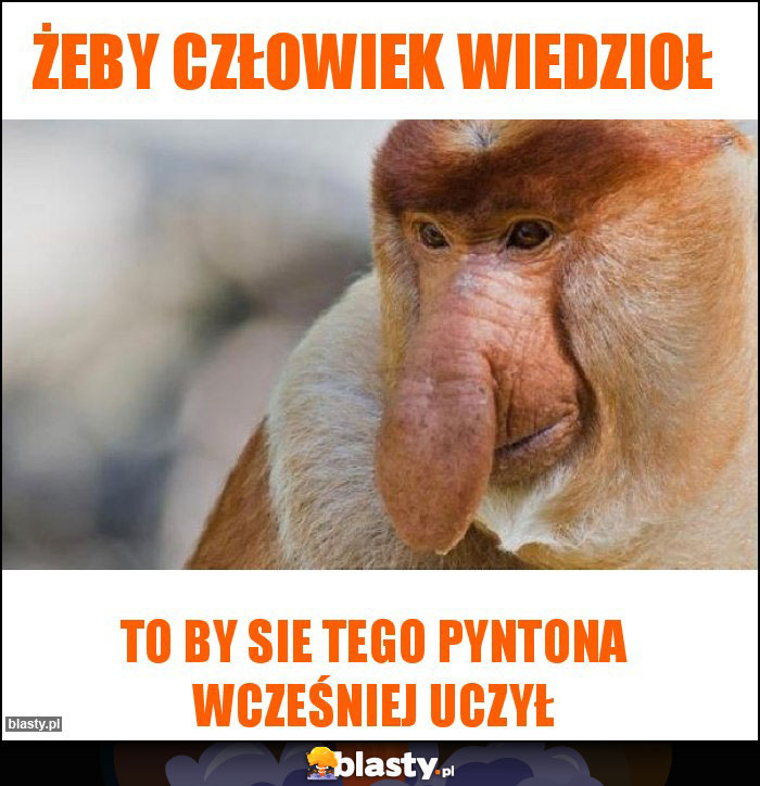 żeby człowiek wiedzioł żeby człowiek wiedzioł