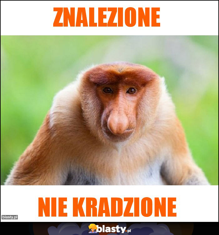 Znalezione Znalezione