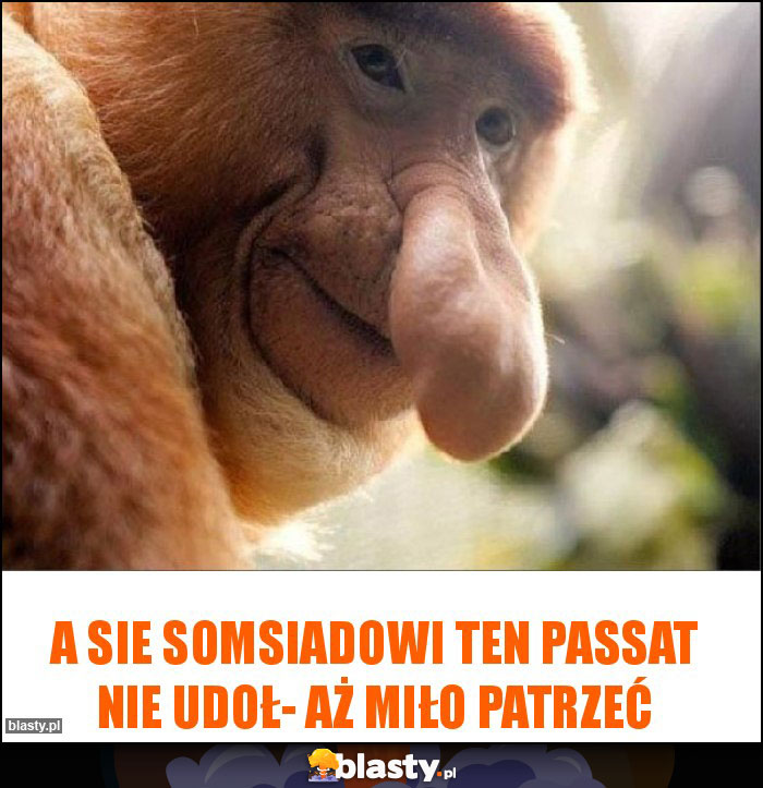 A sie somsiadowi ten passat nie udoł- aż miło patrzeć A sie somsiadowi ten passat nie udoł- aż miło patrzeć