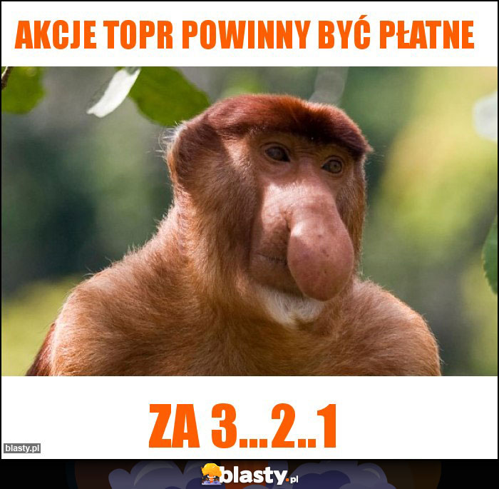 Akcje topr powinny być płatne Akcje topr powinny być płatne