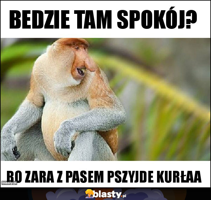 bedzie tam spokój?