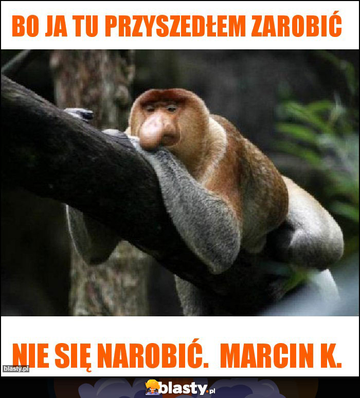 Bo ja tu przyszedłem zarobić Bo ja tu przyszedłem zarobić