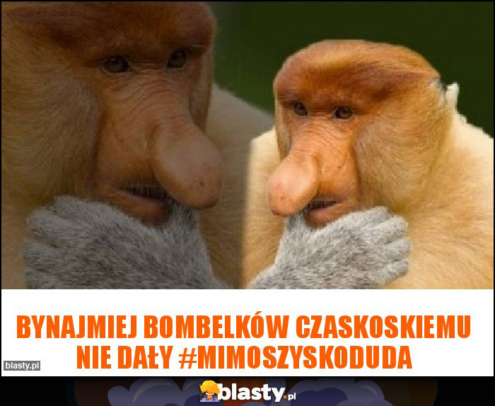 BYNAJMIEJ BOMBELKÓW CZASKOSKIEMU NIE DAŁY #MIMOSZYSKODUDA BYNAJMIEJ BOMBELKÓW CZASKOSKIEMU NIE DAŁY #MIMOSZYSKODUDA