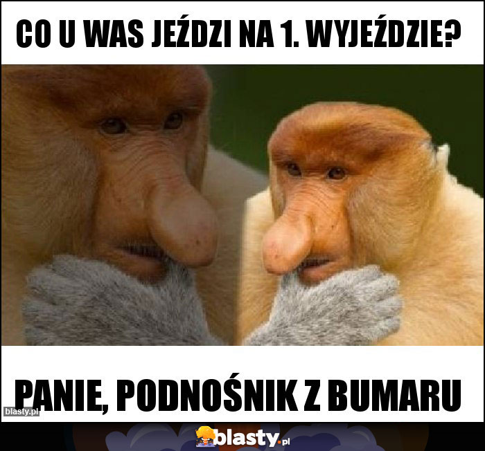 Co u Was jeździ na 1. wyjeździe? Co u Was jeździ na 1. wyjeździe?
