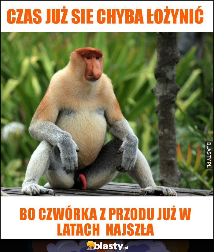 czas już sie chyba łożynić czas już sie chyba łożynić