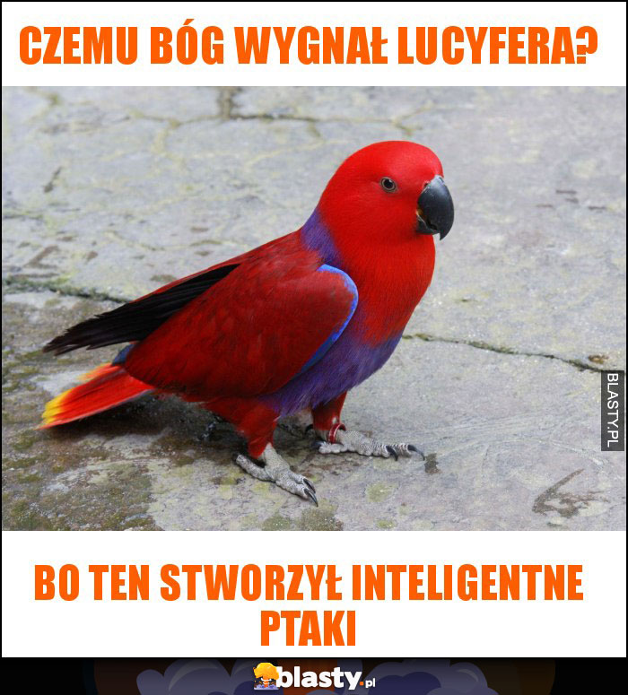 czemu bóg wygnał lucyfera? czemu bóg wygnał lucyfera?
