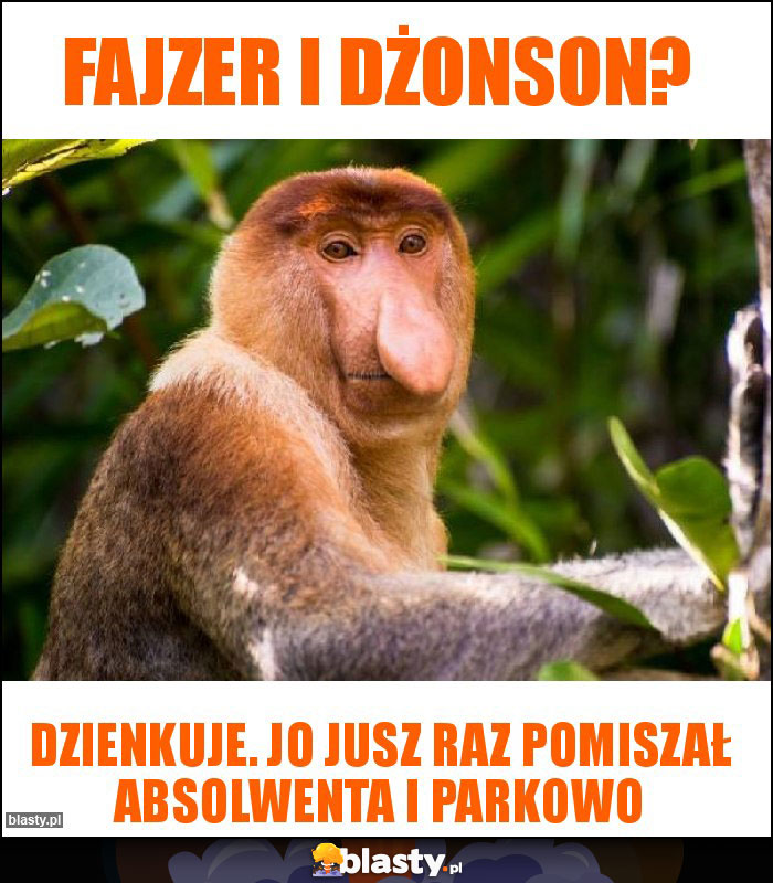 Fajzer i dżonson? Fajzer i dżonson?