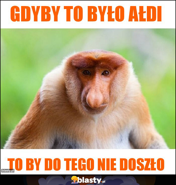 Gdyby to było ałdi Gdyby to było ałdi