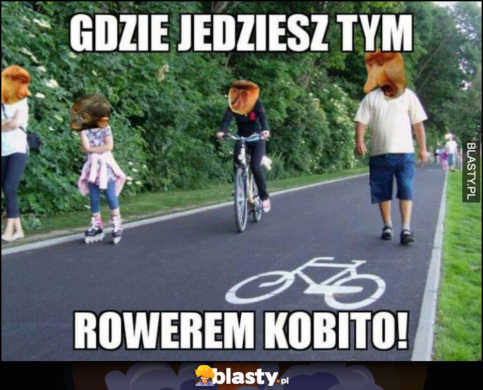 Gdzie jedziesz tym rowerem kobito Polak nosacz na ścieżce rowerowej