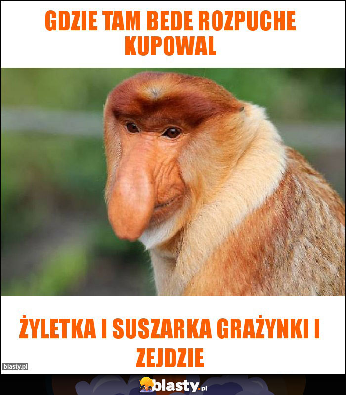 gdzie tam bede rozpuche kupowal