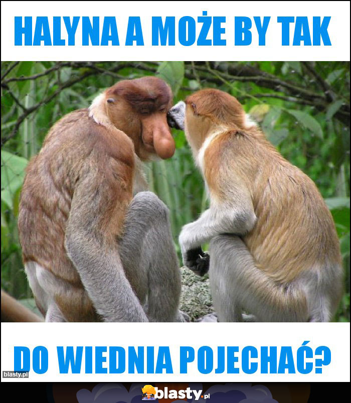 Halyna a może by tak Halyna a może by tak