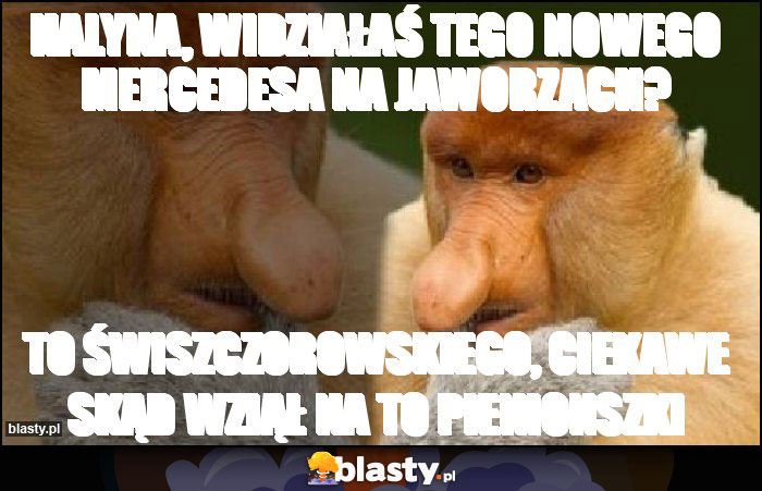 Halyna, Widziałaś tego nowego Mercedesa na Jaworzach? Halyna, Widziałaś tego nowego Mercedesa na Jaworzach?
