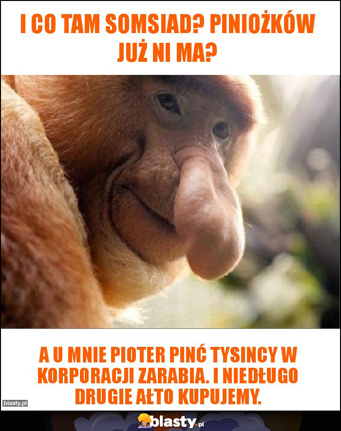 I co tam somsiad? Piniożków już ni ma? I co tam somsiad? Piniożków już ni ma?