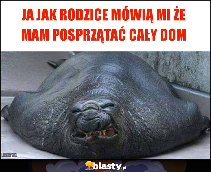 Ja jak rodzice mówią mi że mam posprzątać cały dom Ja jak rodzice mówią mi że mam posprzątać cały dom