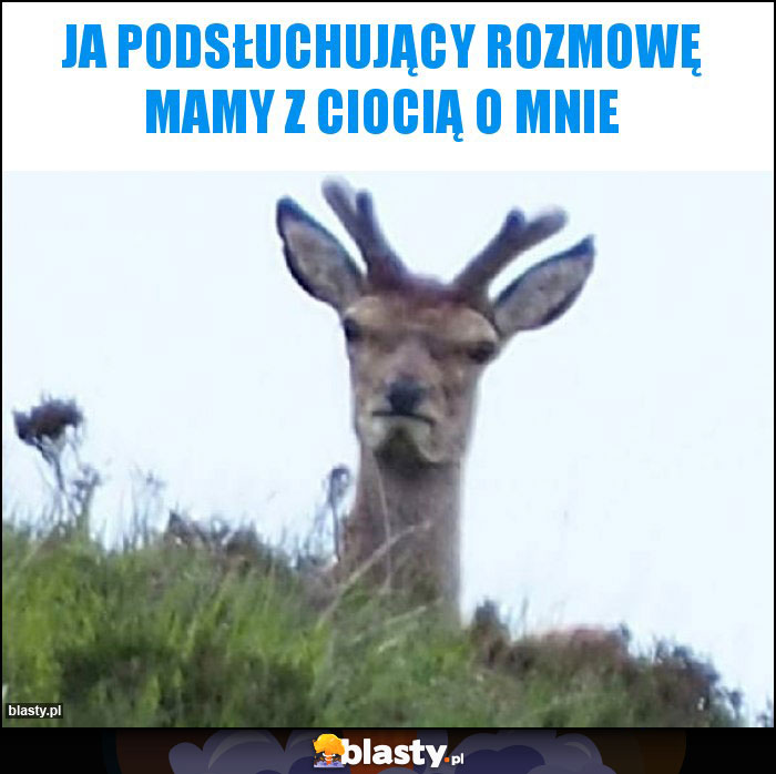 Ja podsłuchujący rozmowę mamy z ciocią o mnie Ja podsłuchujący rozmowę mamy z ciocią o mnie