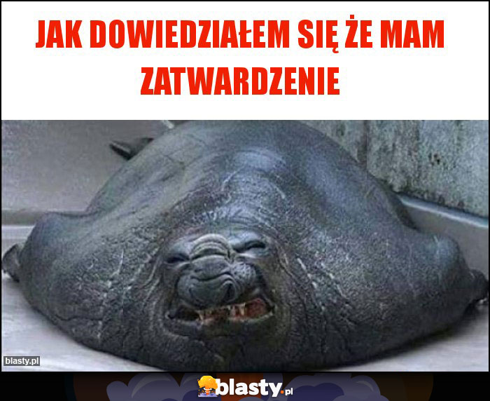 Jak dowiedziałem się że mam zatwardzenie Jak dowiedziałem się że mam zatwardzenie