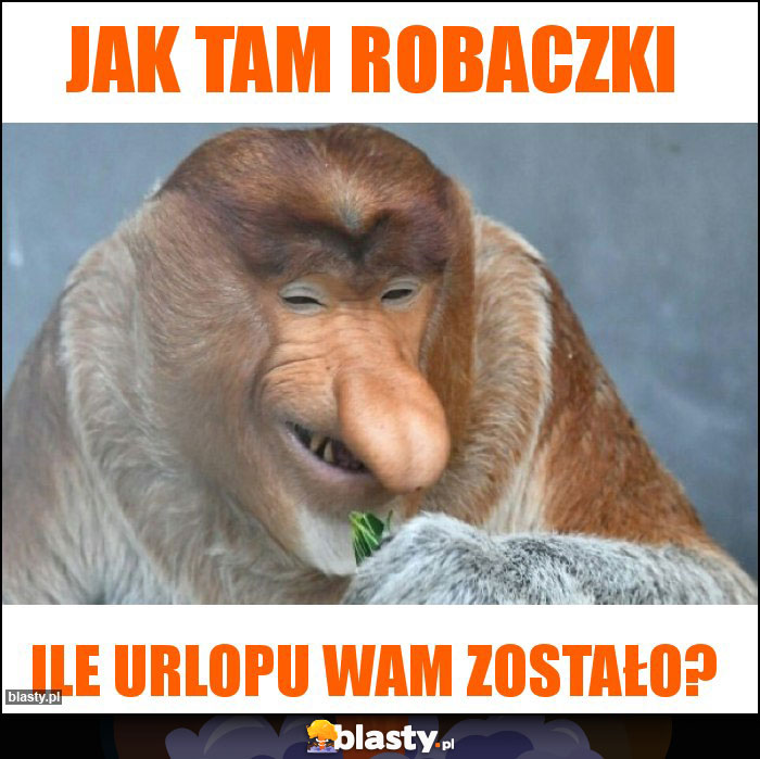 Jak tam robaczki Jak tam robaczki