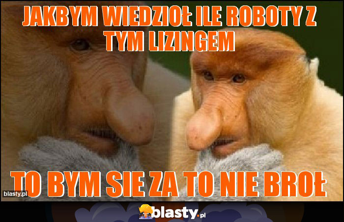JAKBYM WIEDZIOŁ ILE ROBOTY Z TYM LIZINGEM JAKBYM WIEDZIOŁ ILE ROBOTY Z TYM LIZINGEM