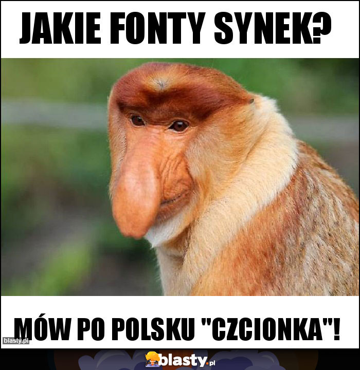 Jakie fonty synek? Jakie fonty synek?