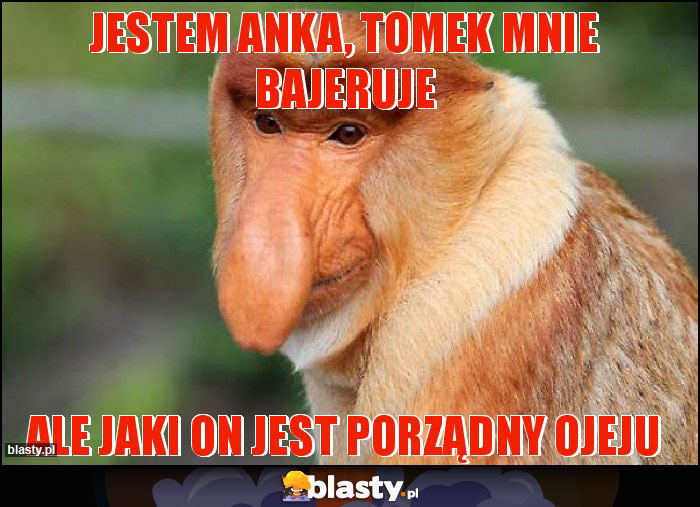 Jestem anka, tomek mnie bajeruje