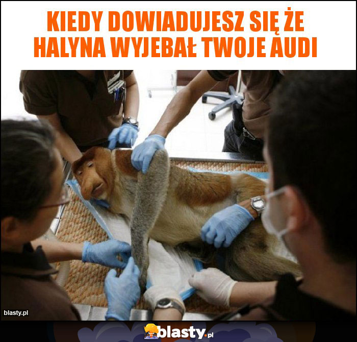 Kiedy dowiadujesz się że Halyna wyjebał Twoje Audi Kiedy dowiadujesz się że Halyna wyjebał Twoje Audi