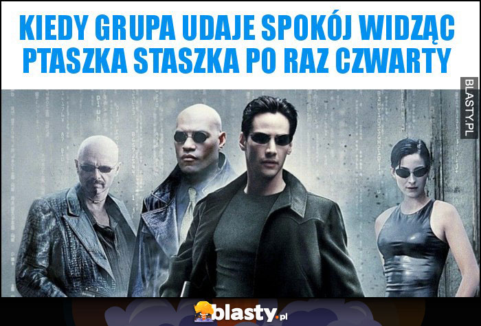 Kiedy grupa udaje spokój widząc ptaszka Staszka po raz czwarty Kiedy grupa udaje spokój widząc ptaszka Staszka po raz czwarty