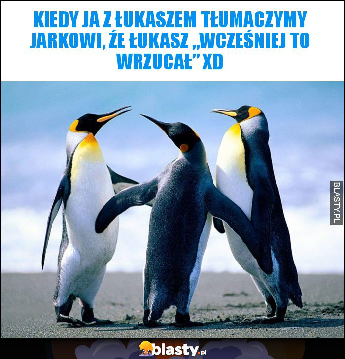 Kiedy ja z Łukaszem tłumaczymy Jarkowi, źe Łukasz „wcześniej to wrzucał” XD Kiedy ja z Łukaszem tłumaczymy Jarkowi, źe Łukasz „wcześniej to wrzucał” XD