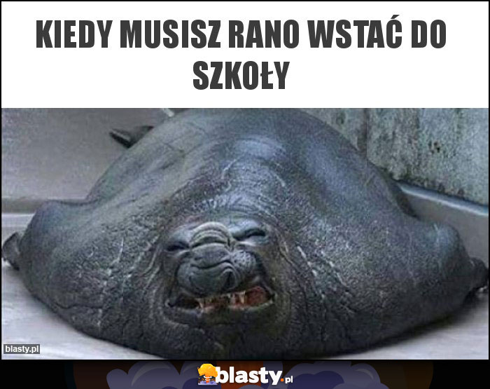 Kiedy musisz rano wstać do szkoły Kiedy musisz rano wstać do szkoły