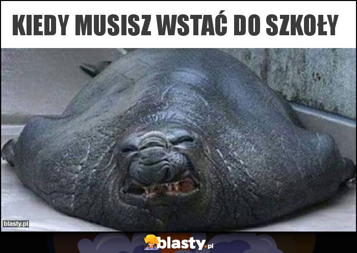 Kiedy musisz wstać do szkoły Kiedy musisz wstać do szkoły