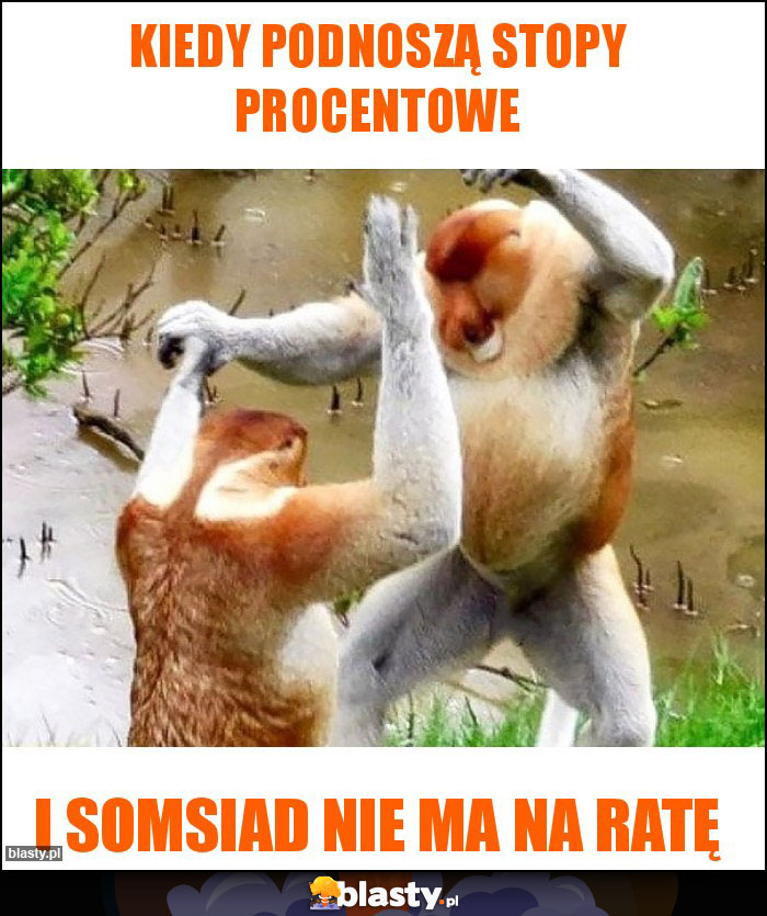 Kiedy Podnoszą stopy procentowe Kiedy Podnoszą stopy procentowe