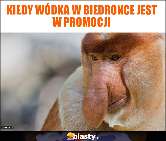 Kiedy wódka w biedronce jest w promocji Kiedy wódka w biedronce jest w promocji