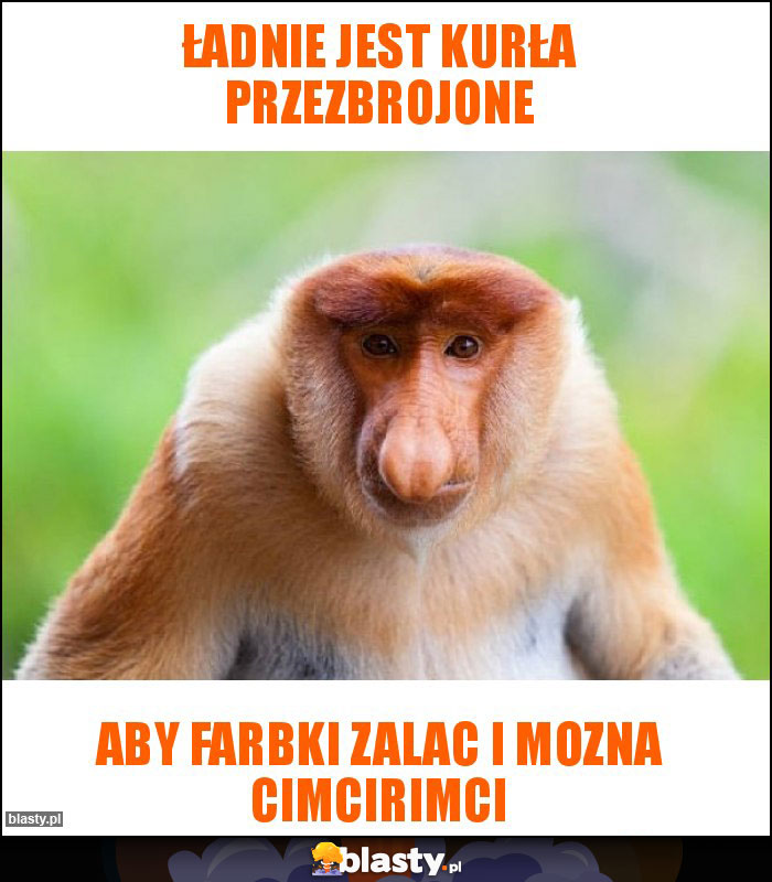 Ładnie jest kurła przezbrojone