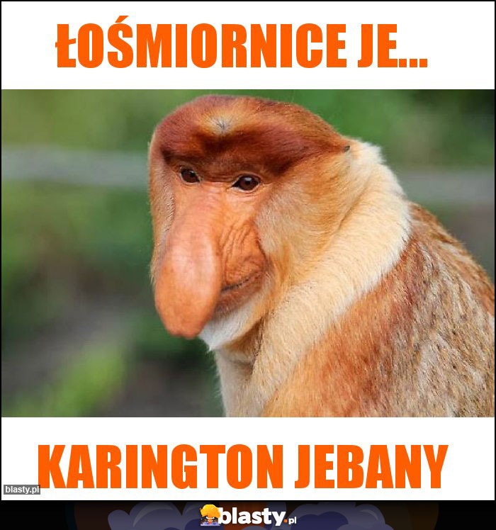 Łośmiornice je... Łośmiornice je...