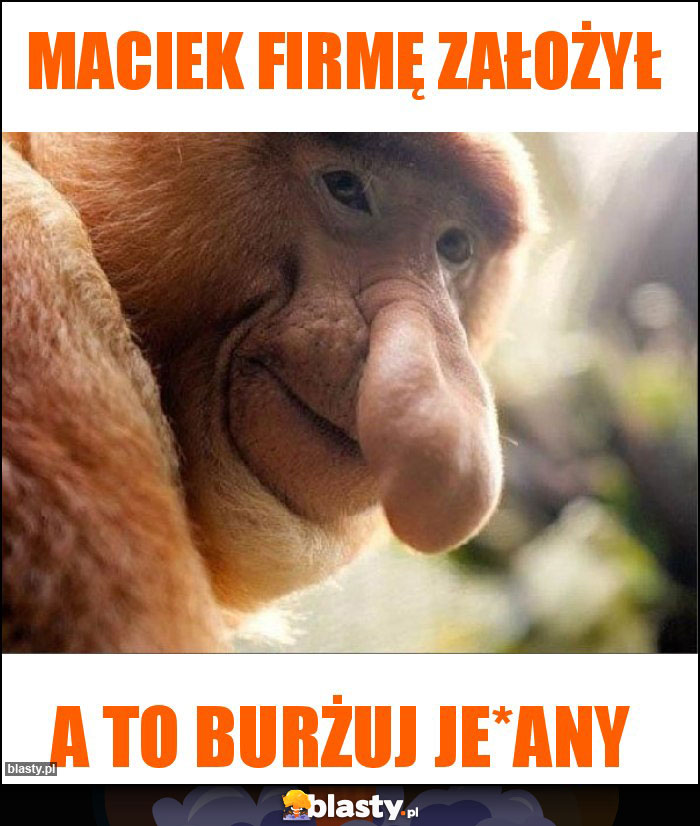 Maciek firmę założył Maciek firmę założył