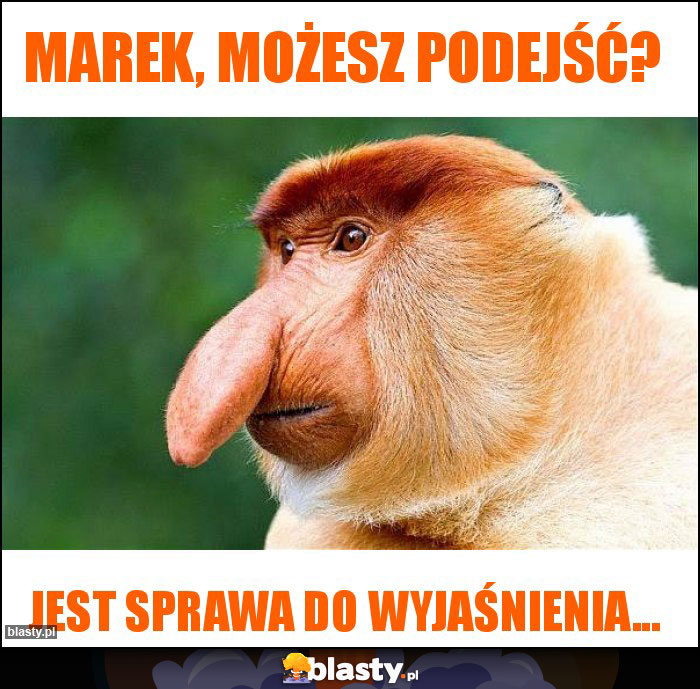 Marek, możesz podejść?