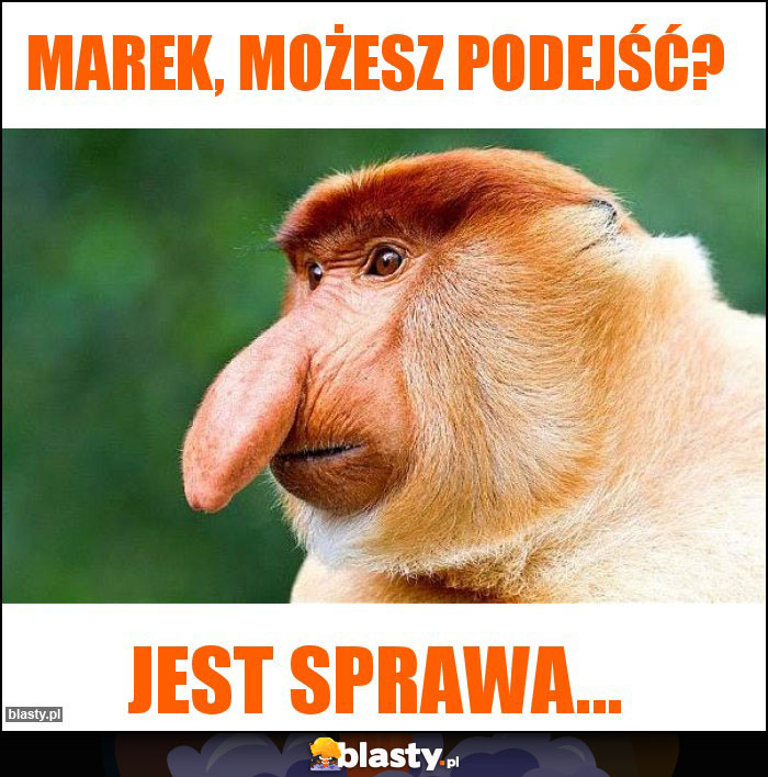 Marek, możesz podejść?