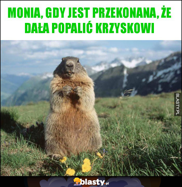 Monia, gdy jest przekonana, że dała popalić krzyskowi Monia, gdy jest przekonana, że dała popalić krzyskowi