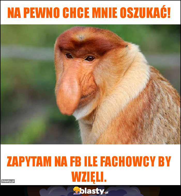 Na pewno chce mnie oszukać! Na pewno chce mnie oszukać!